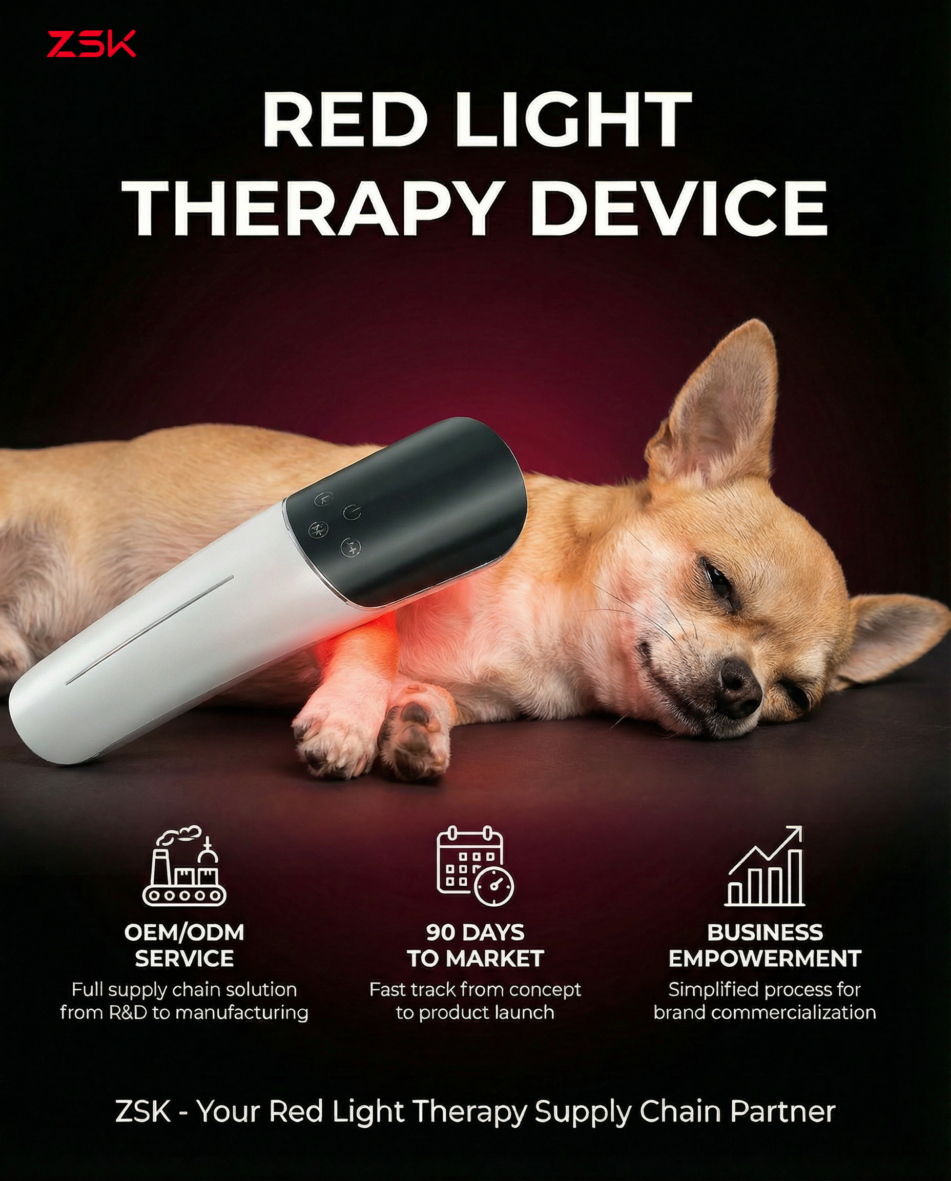 How to Ensure Laser Therapy Device Quality: A Buyer’s Guide to Choosing Compliant Medical & Veterinary Suppliers