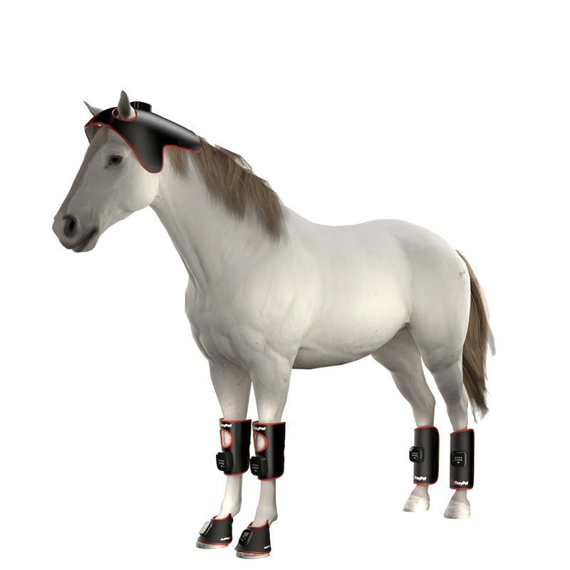 ZSK LED Horse Poll Cap Pad | Flexible Red & Near‑Infrared Head Therapy