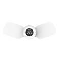 ZSK TL-01 | Portable TENS & Laser Therapy Device