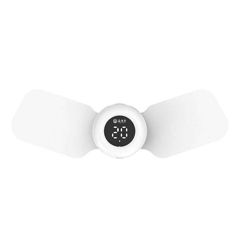 ZSK TL-01 | Portable TENS & Laser Therapy Device