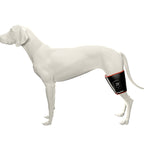 ZSK LED Horse Boot Pad | Flexible Red & Near‑Infrared Therapy