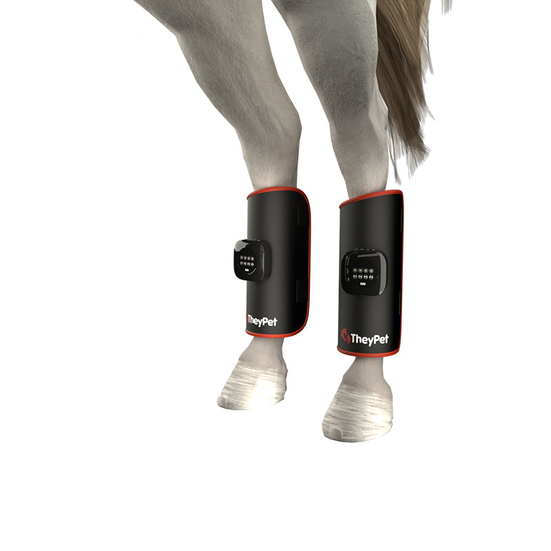 ZSK LED Horse Leg Pad | Flexible Red & Near‑Infrared Therapy