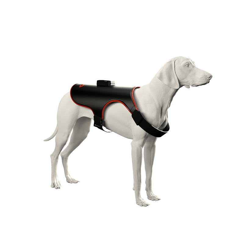 ZSK LED Dog Pad Harness | Flexible Red & Near-Infrared Therapy