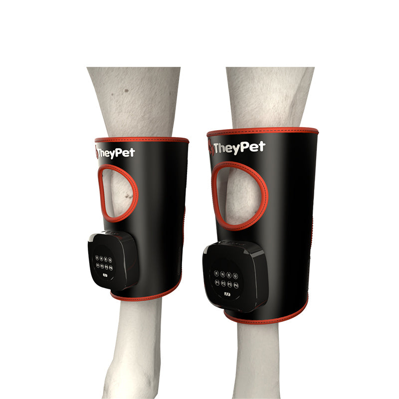 ZSK LED Horse Knee Pad | Flexible Red & Near‑Infrared Therapy