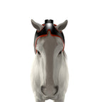 ZSK LED Horse Poll Cap Pad | Flexible Red & Near‑Infrared Head Therapy