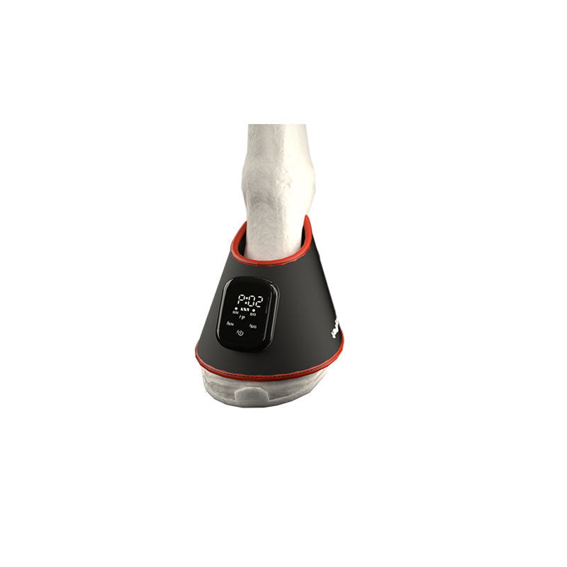 ZSK LED Horse Boot Pad | Flexible Red & Near‑Infrared Therapy