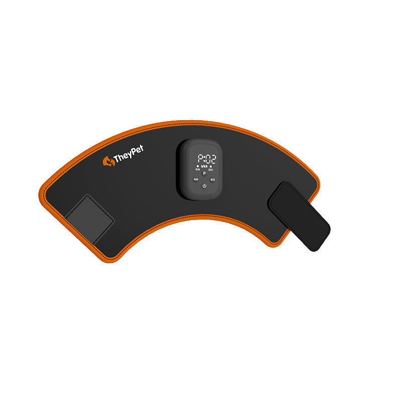ZSK LED Horse Boot Pad | Flexible Red & Near‑Infrared Therapy