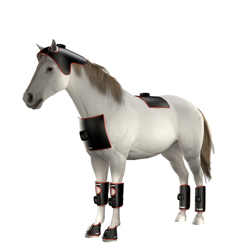 ZSK LED Small LED Pad | Flexible Red & Near‑Infrared Therapy