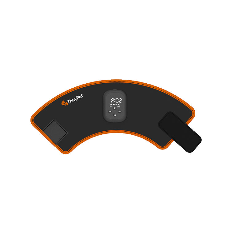ZSK LED Horse Boot Pad | Flexible Red & Near‑Infrared Therapy
