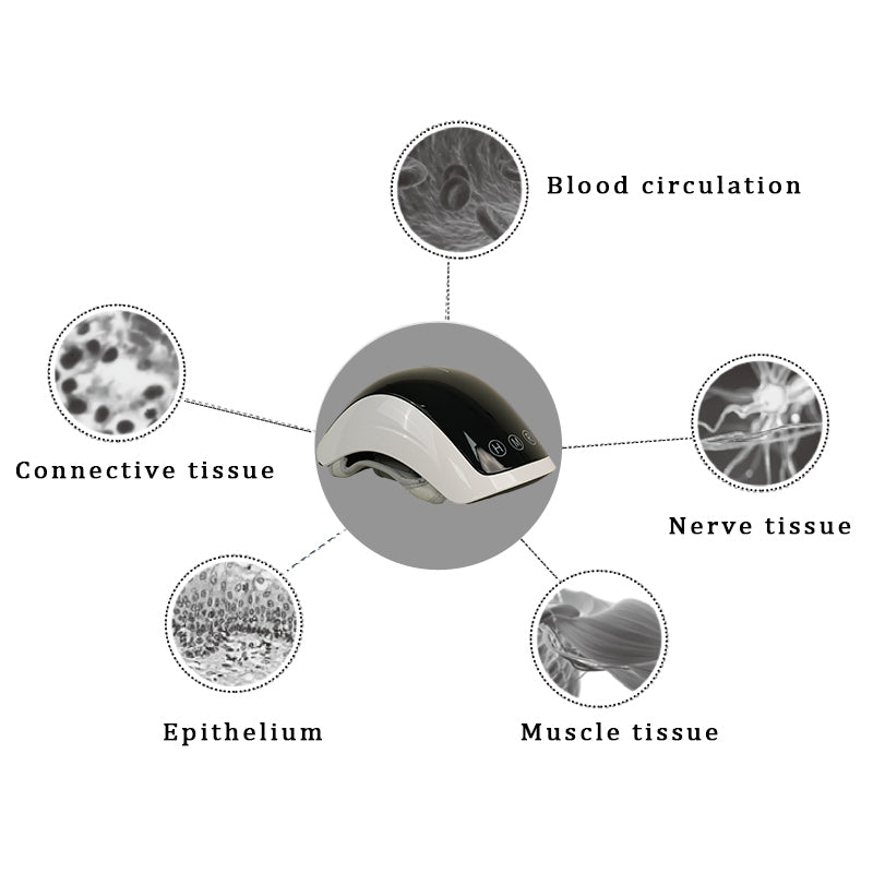 ZSK LED-K | LED Light Therapy Knee Pain Massager